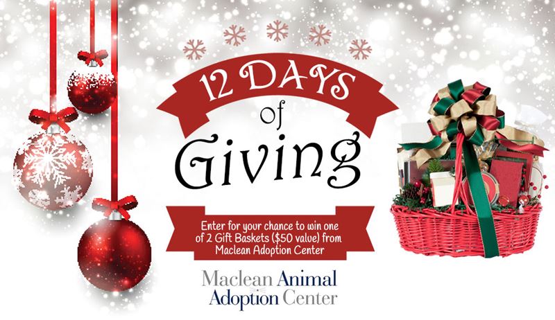 12 Days of Giving Animal Foundation 2017