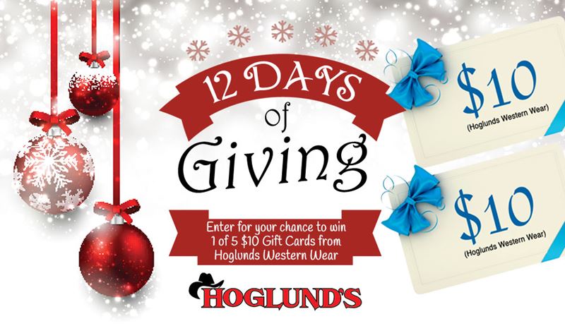 12 Days of Giving Hoglunds 17