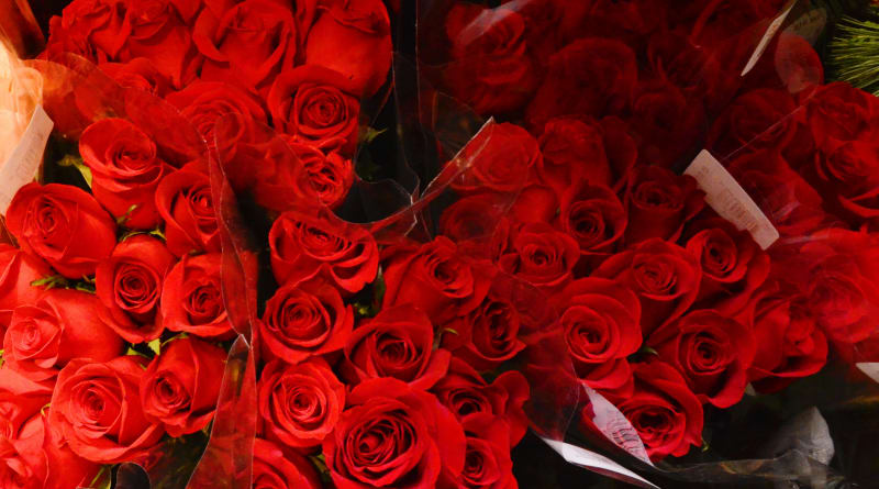 Valentine's Day Quiz